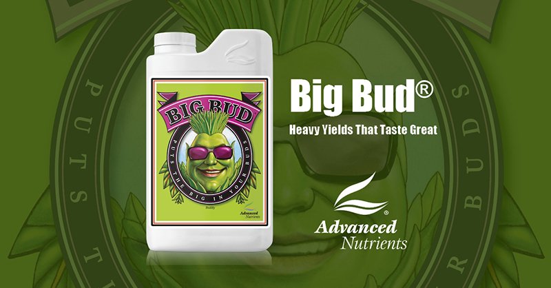 BigBudPhoto