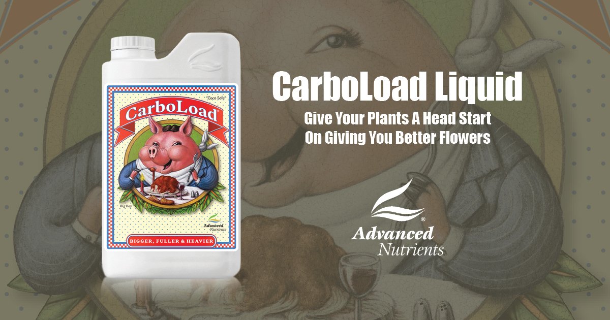 Advanced Nutrients Carboload