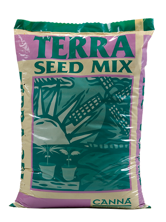 Seed Mix