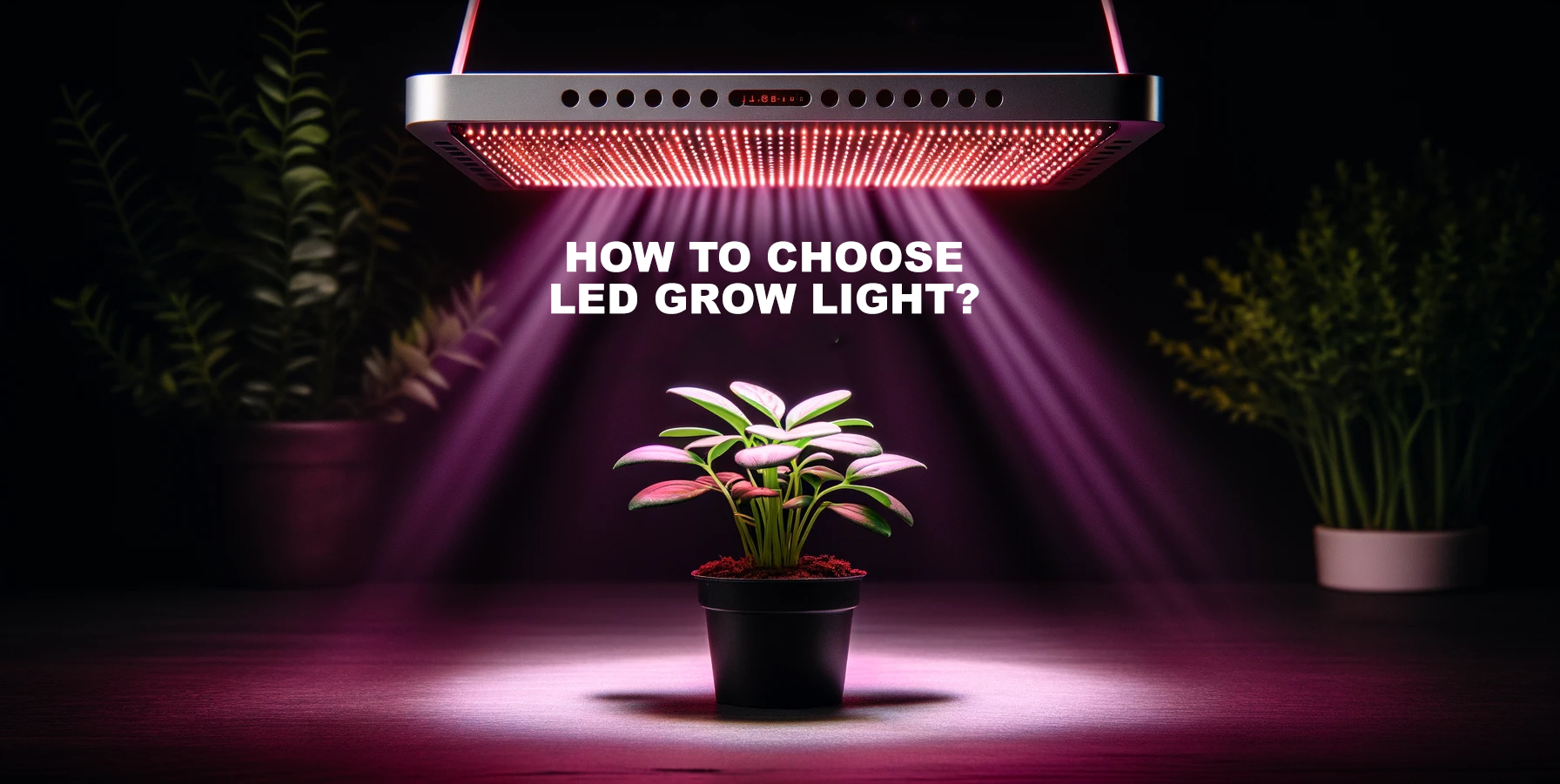 How to Choose led grow light