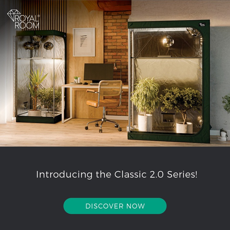 RoyalRoom 2.0 now available!