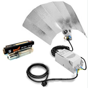How to choose and connect HPS / MH lighting