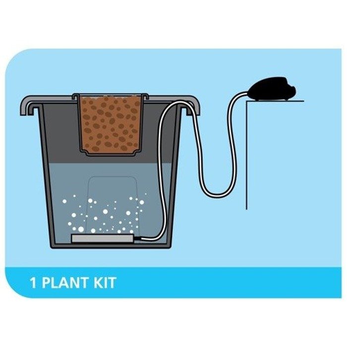 Everything you need to know about the DWC system