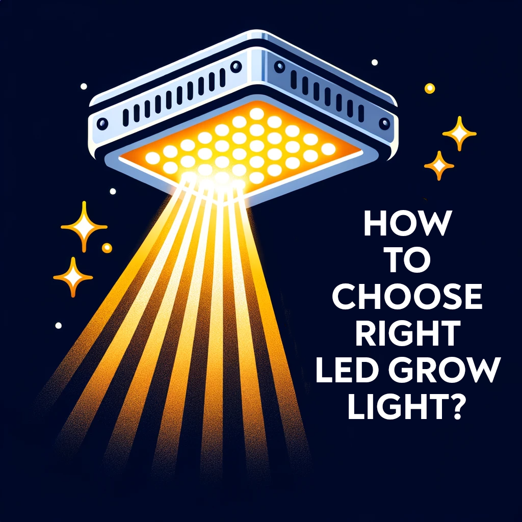 Beginners guide: How to choose LED grow light?