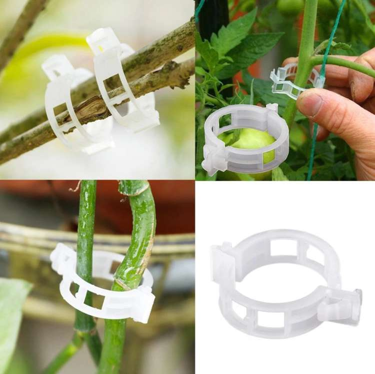 Herbgarden Plant Support Clips fixing clips 50pcs Others \ Other