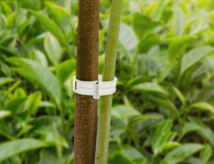 Herbgarden Plant Support Clips fixing clips 50pcs Others \ Other Equipment \ Gardening