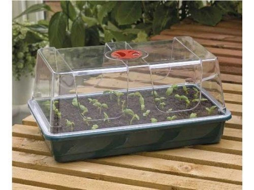 Propagator Garland black 37.5 x 23 xh 6cm tray with holes