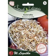 Nasiona Anyż Biedrzeniec 1g