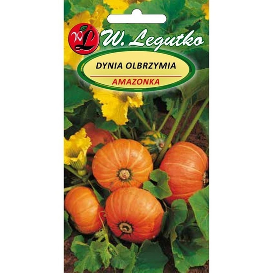 Giant pumpkin seeds - Cucurbita maxima - 3g