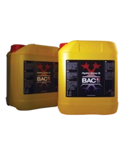BAC hydro grow A + B 2x10L for growth