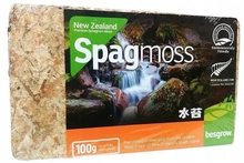 Besgrow New Zealand Sphagnum Spagmoss 100G 8L Premium moss