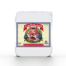 Advanced Nutrients CARBOLOAD 5L | Carbohydrates