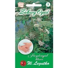 Archduival lithuanian - Angelica archangelica - 0.5 g