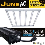 HortiLight June 720W LED GROW LAMP 6-BAR 2.7 µmol/J + 600W Ignis HortiLight 600W