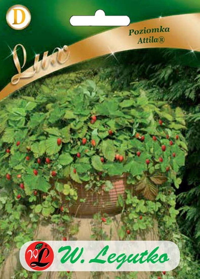 Attila wild strawberry seeds 0.1g