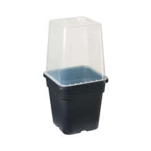 Propagator cover - Clear Propagation Lid for 11L pots