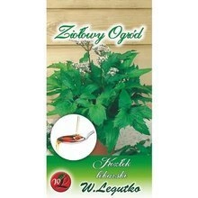 Nasiona Anyż Biedrzeniec 1g