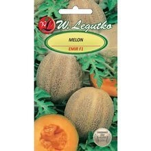 Nasiona Anyż Biedrzeniec 1g