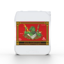 Advanced Nutrients Bud Ignitor 10L | accelerates plants into the blooming stage