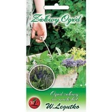 Nasiona Anyż Biedrzeniec 1g