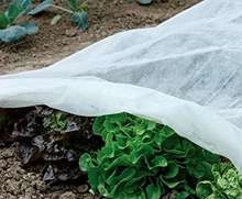 Agrofibre for plant protection 1.6x5M