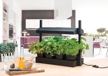 Garland Grow Light Garden Black 8W - set for growing herbs 50x20x45cm