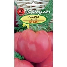 Oxheart Ground Tomato (Raspberry Buffalo Heart)