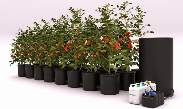 NidoPro Computer / controller dosing fertilizer for hydroponic cultivation | Equipment \ Automatization \ Other Irrigation \ Hydroponics \ Fertilizers & ph auto-dosage | GrowTent.pl