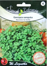 Seeds for edible sareps mustard sprouts