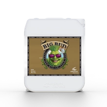 Advanced Nutrients BIG BUD COCO 5L | flowering stimulator