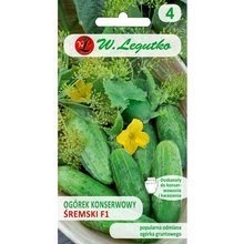 Cucumber Sremski F1 Cucumis Sativus 2g