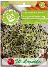 Garlic chives sprouts seeds (Allium sativum)