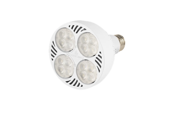 VERTICANA® Bulb 35W | WHITE | 15° lens 
