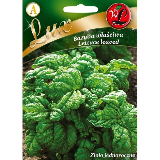 Green Basil Seeds Lettuce leaved 1g
