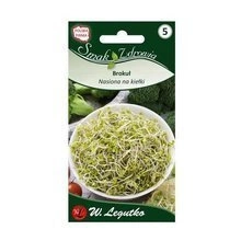 Nasiona Anyż Biedrzeniec 1g