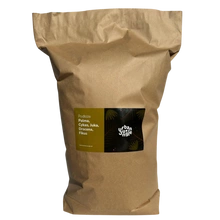 Urban Jungle Bigos soil substrate for tropical plants such as Palm, Yucca, Dracaena and Ficus 15L