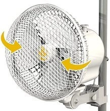Fan Secret Jardin Monkey Fan Oscillating 20W ⌀21cm