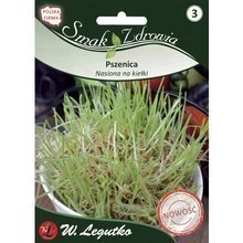 Nasiona Anyż Biedrzeniec 1g