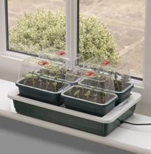 Garland electric propagator with heating - 4 trays Garland  FAB4 37 x 22 x h18.5 cm