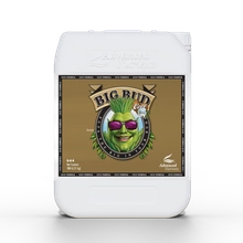 Advanced Nutrients BIG BUD COCO 10L | flowering stimulator