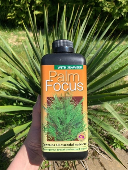 Growth Technology Palm Focus 1L - nutrient for palms