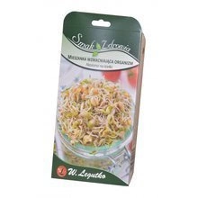 Nasiona Anyż Biedrzeniec 1g