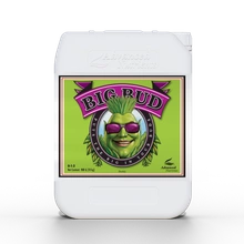 Advanced Nutrients BIG BUD 10L | flowering stimulator