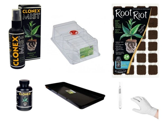 CLONEX cloning kit with Garland propagator - for 24 clones