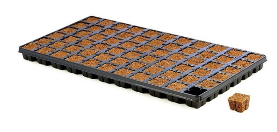 Eazy Plug SeedIng Tray 66 pieces