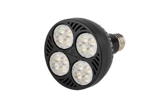 VERTICANA® Bulb 35W | BLACK | 25° lens 