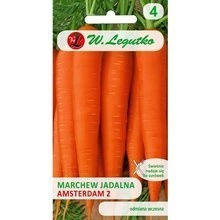 Nasiona Anyż Biedrzeniec 1g