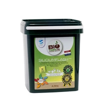 BIOTABS Silicium Flash 9L - organic fertilizer