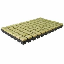 Seeding tray mineral wool 77 pcs 35x35x40mm Grodan - CARTON 18PCS