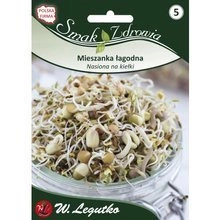 Nasiona Anyż Biedrzeniec 1g